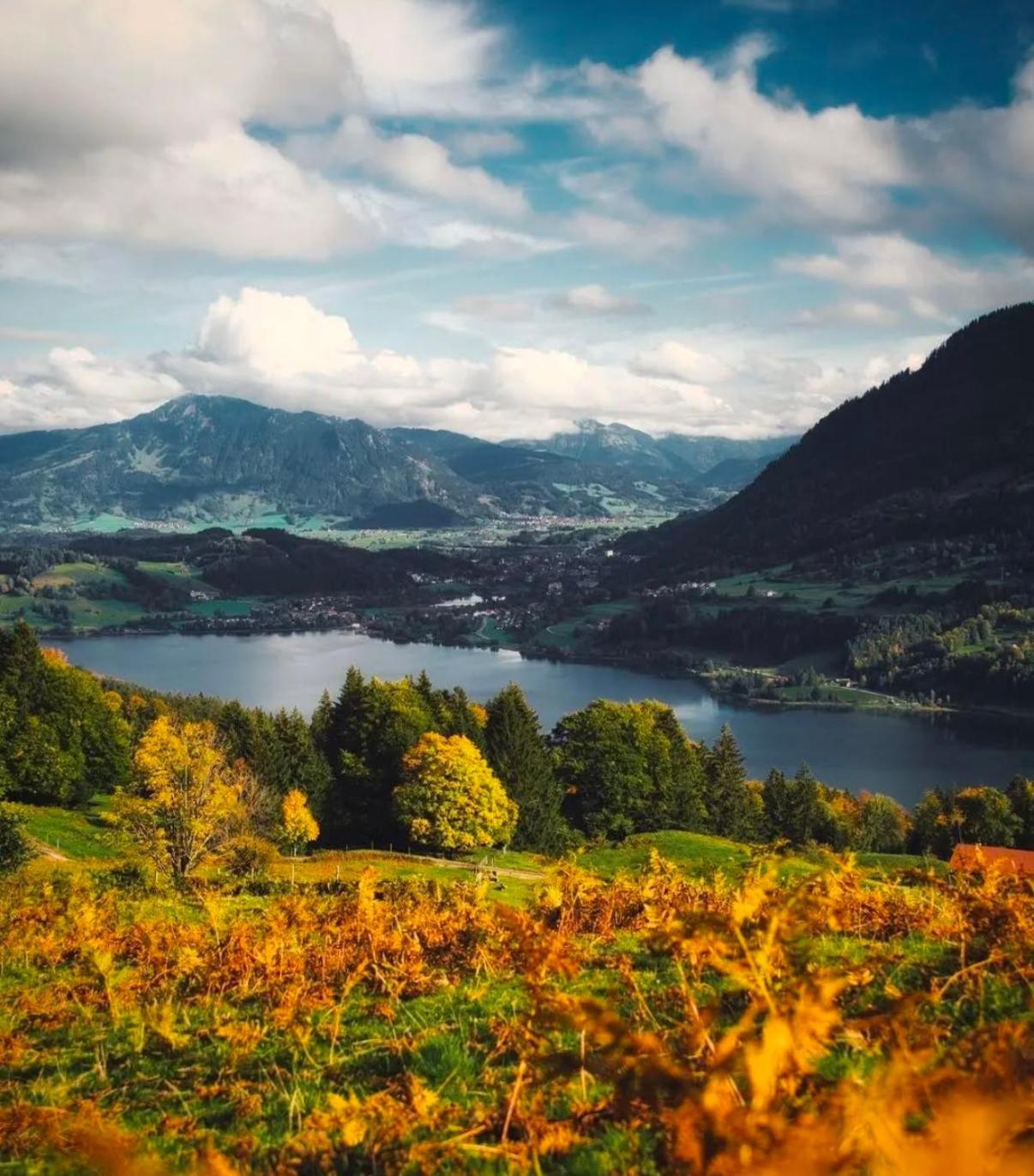 Ferienwohnung Immenstadt Im Allgaeu- Ruhig, Gemuetlich & 5Min Zum Alpsee Luaran gambar